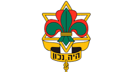 The Scouts Movement