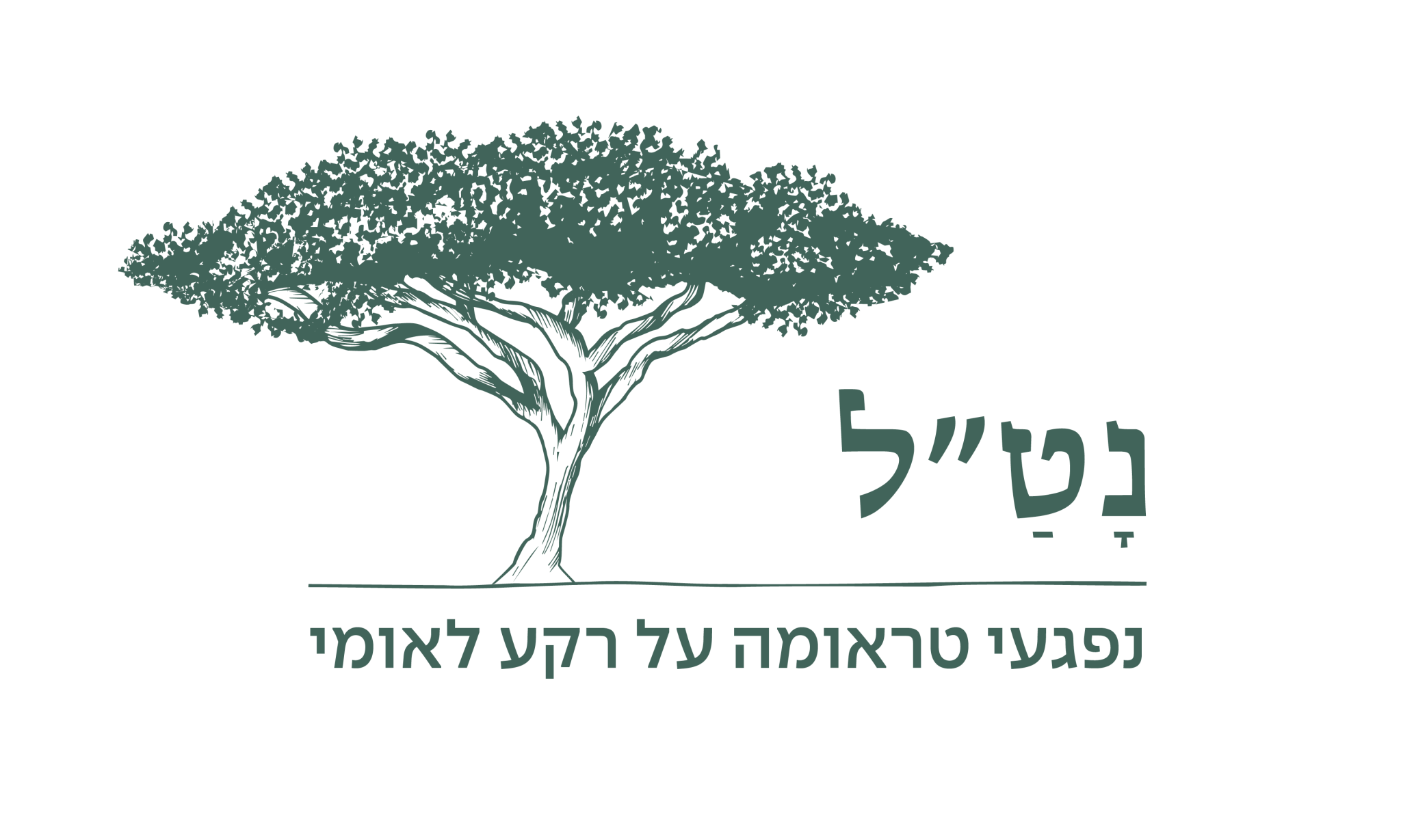 נט